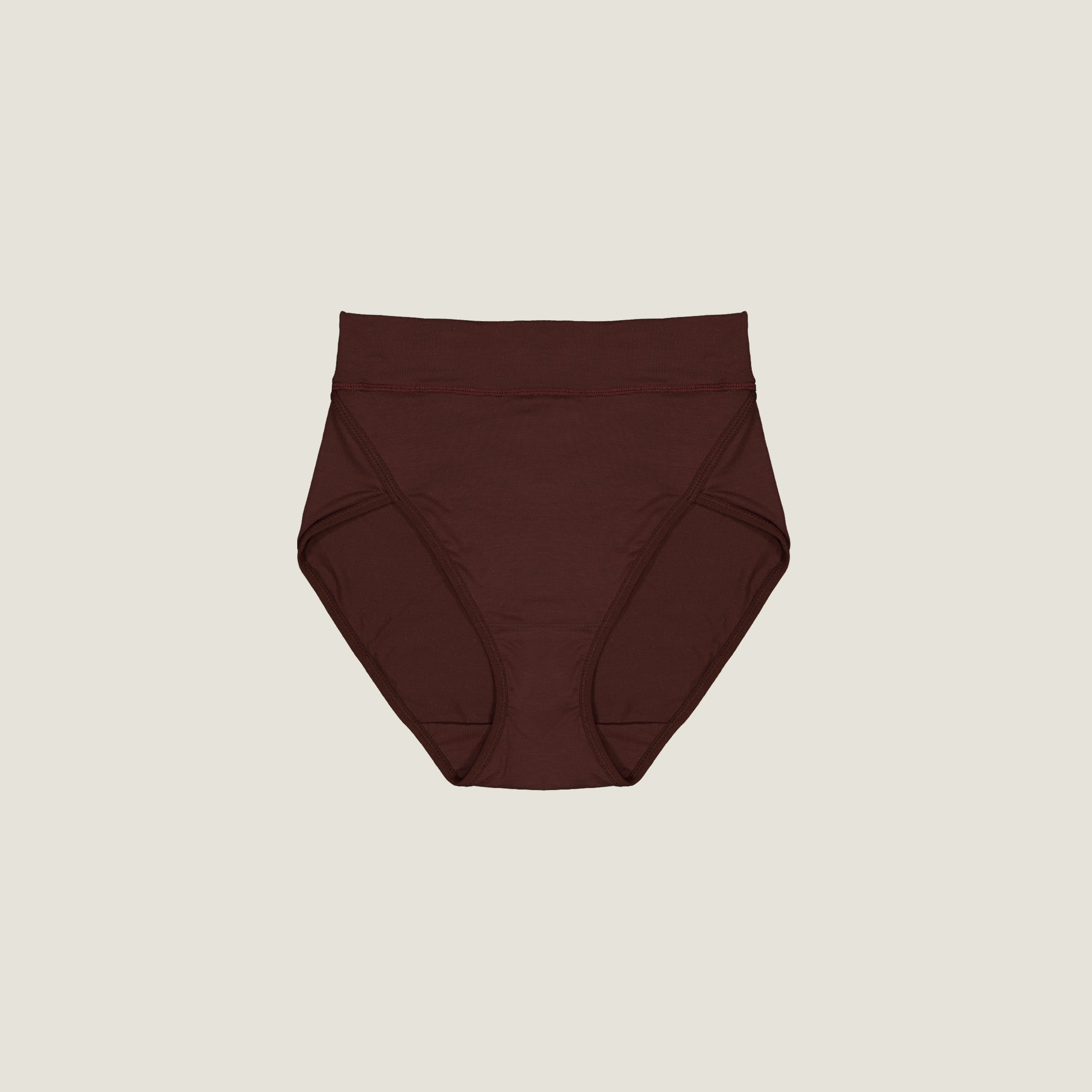 The Highwaist Brief