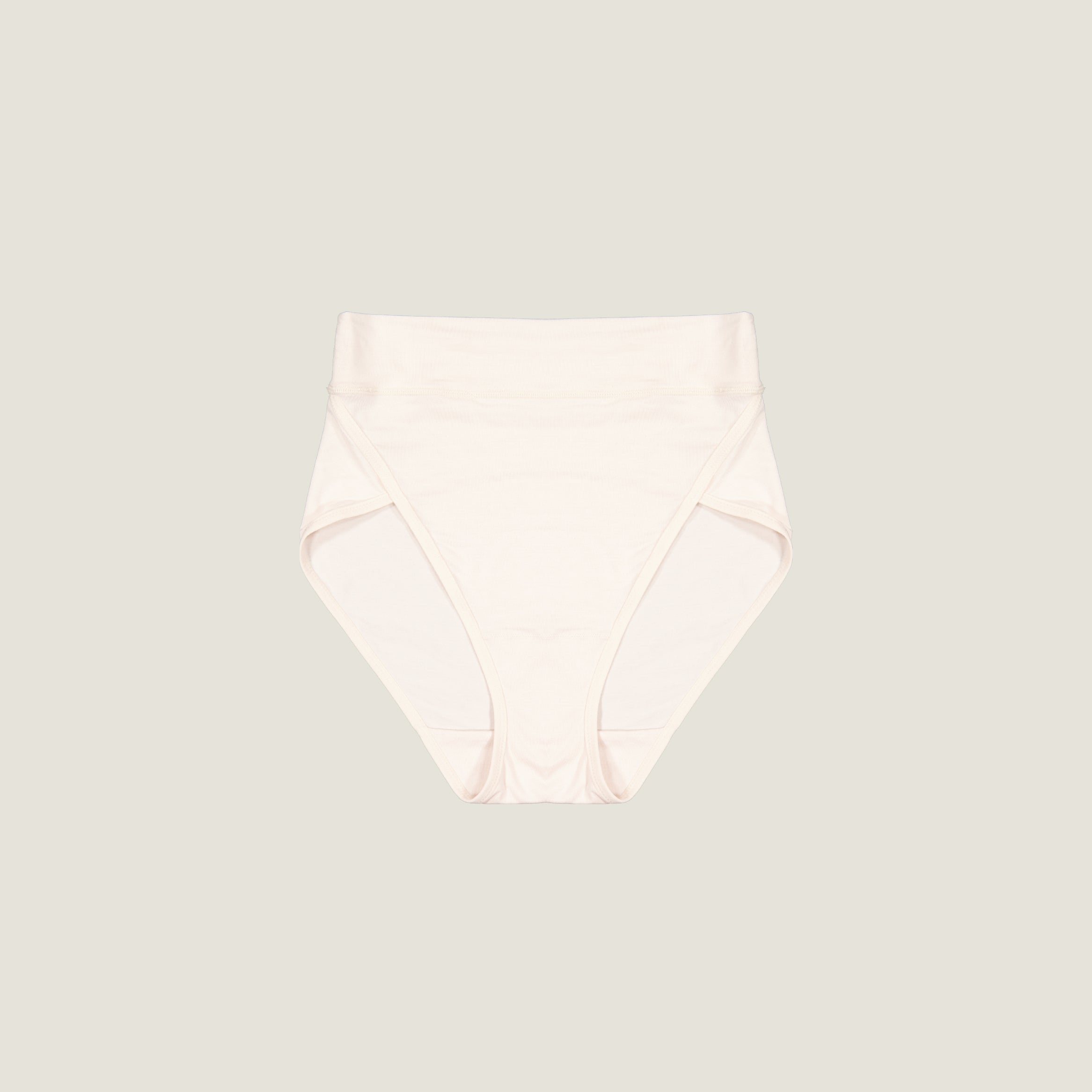 The Highwaist Brief