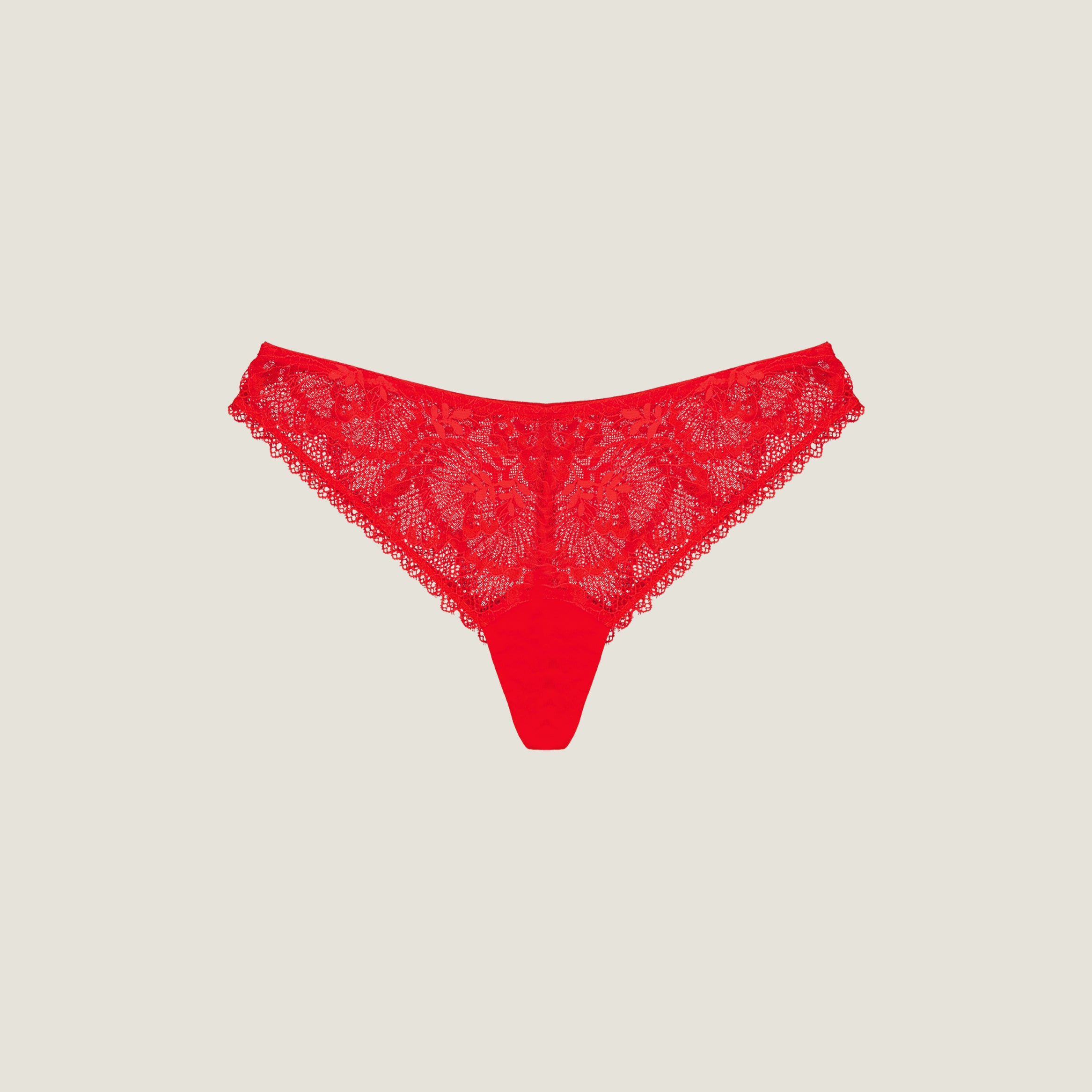The French Brief