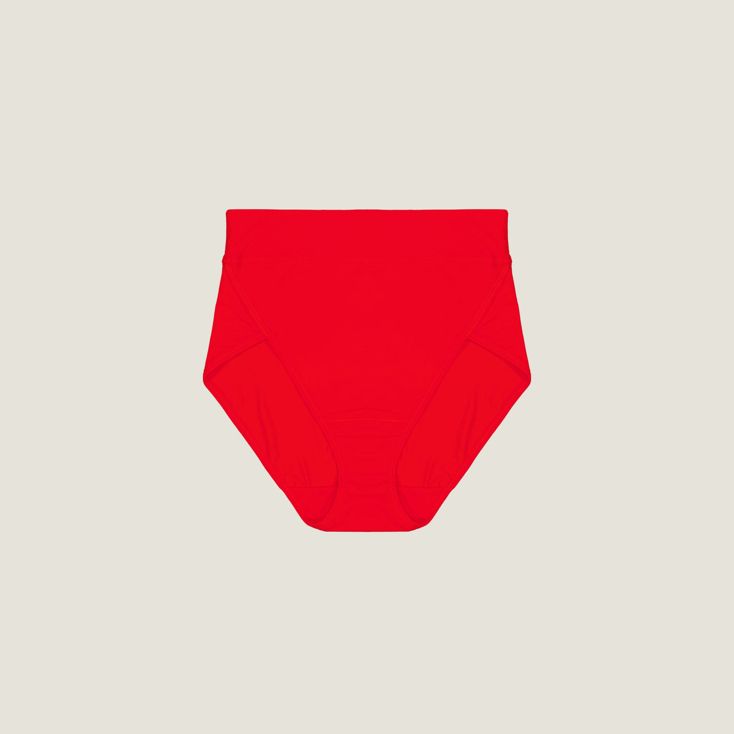 The Highwaist Brief